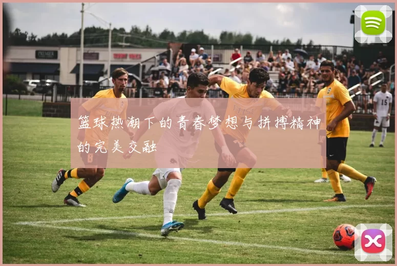 篮球热潮下的青春梦想与拼搏精神的完美交融
