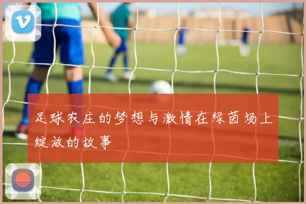足球农庄的梦想与激情在绿茵场上绽放的故事